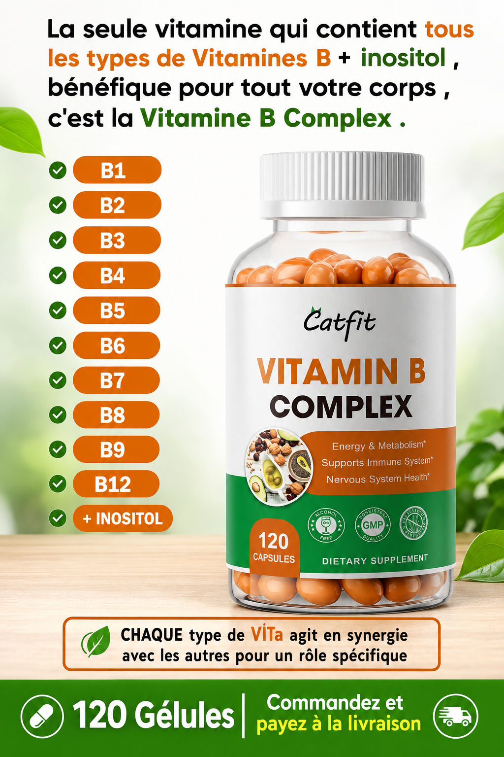 Offrez à votre corp la vitamin B complex (B1 à B12+ L'INOSITOL) et sentez-vous à l'aise au quotidien
